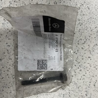 Parafuso A6079903101