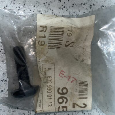 Parafuso Mercedes A6029900112