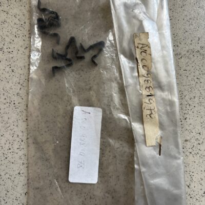 Molas Mercedes A0009881978